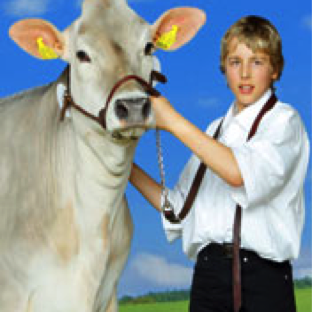 Josef Berchtold with light colored cow