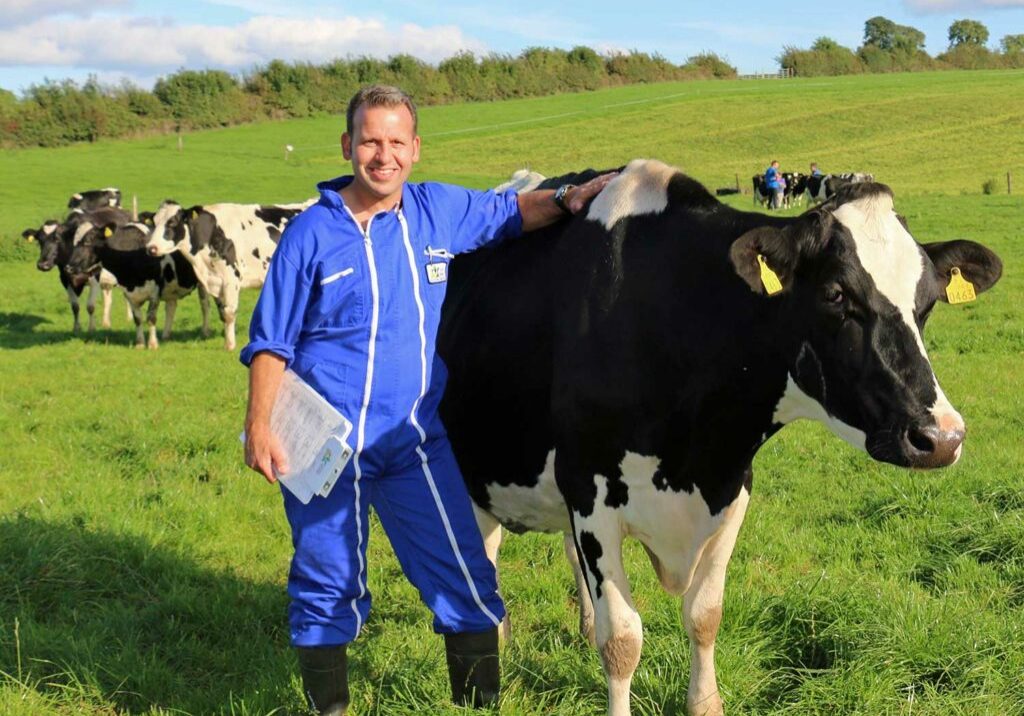 Kaul man in blue jumpsuit with black and white cow in field