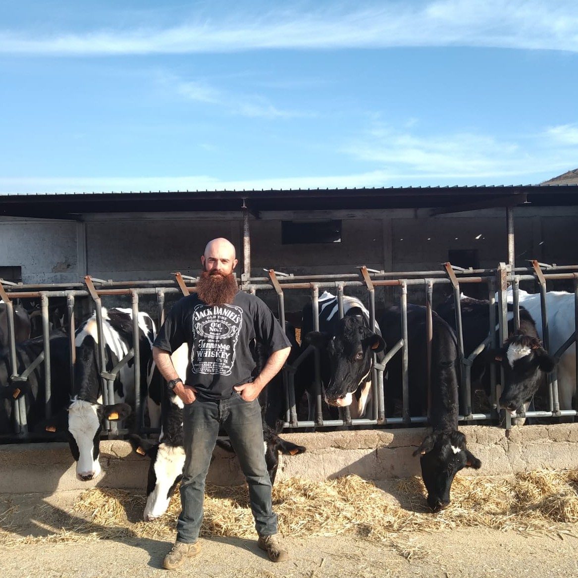 Lorenzo D'Effremo standing in front of his cows